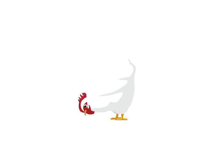 Pecking chicken