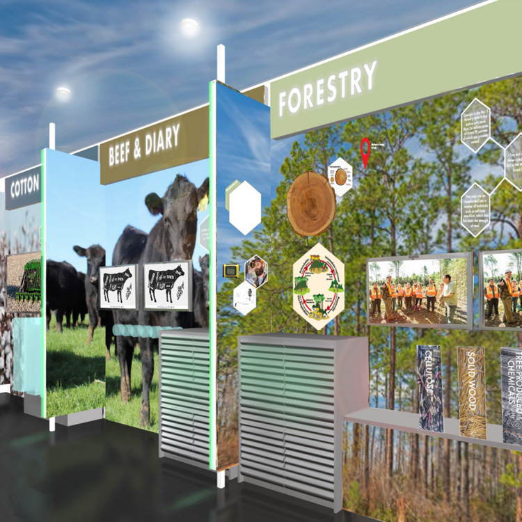 Our Program The AG Experience